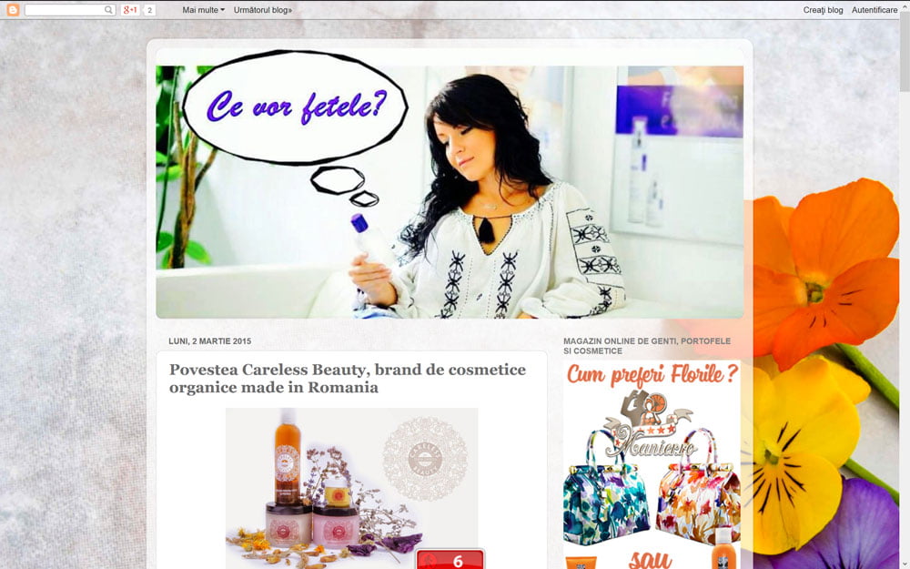 PentruDive.com despre Povestea Careless Beauty