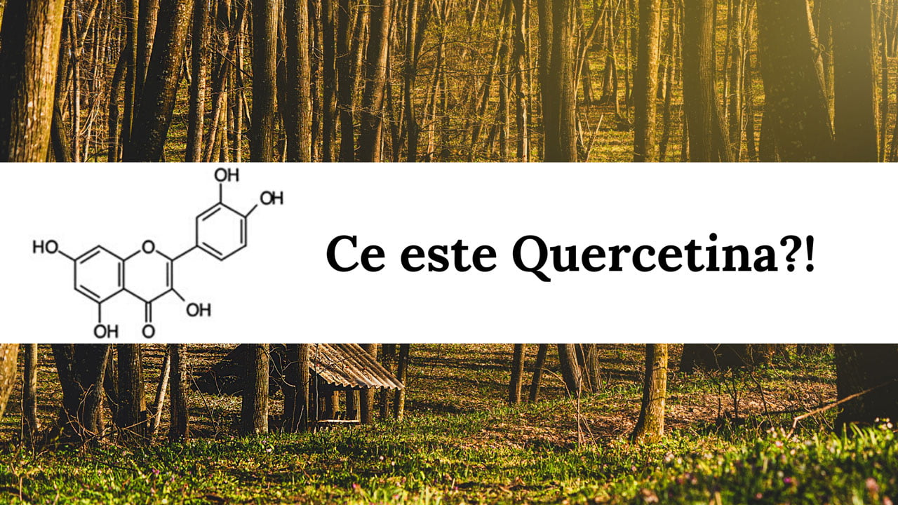 Află ce este Quercetina