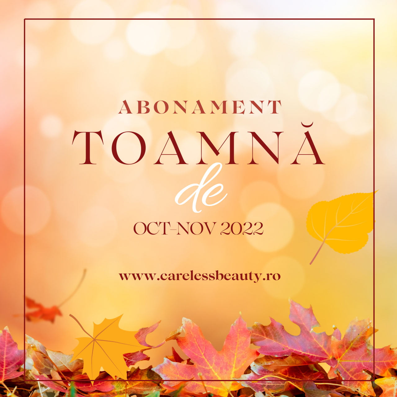 Abonament de Toamna carelessbeauty.ro p0